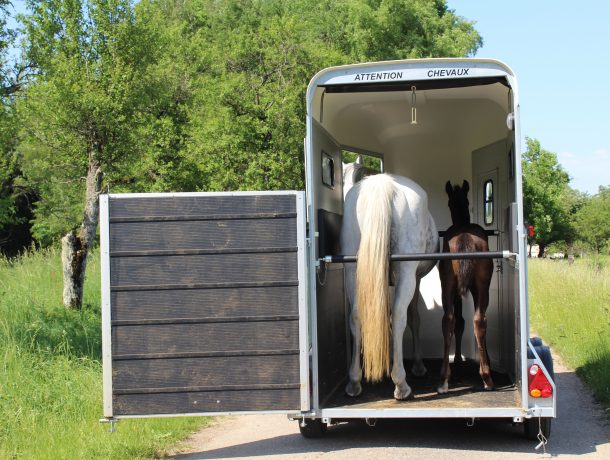 Touring One – Single Horse Trailer - Image 6
