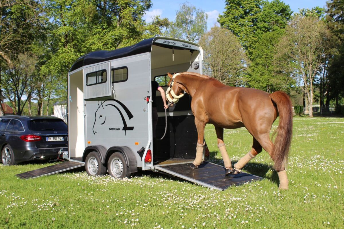 Touring One – Single Horse Trailer - Image 3
