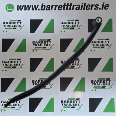 Dale Kane 2 leaf spring